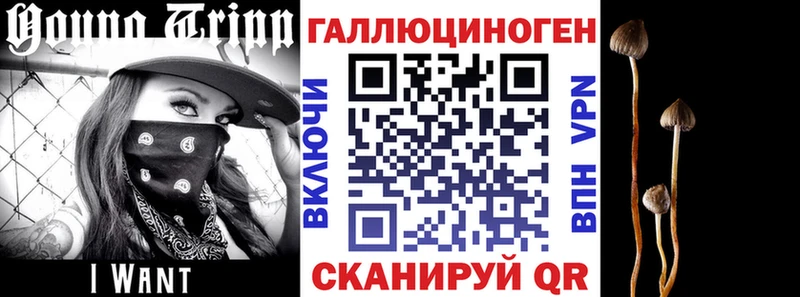 Галлюциногенные грибы прущие грибы  купить   Грозный 